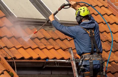 Démoussage et hydrofuge de toiture à Soyans